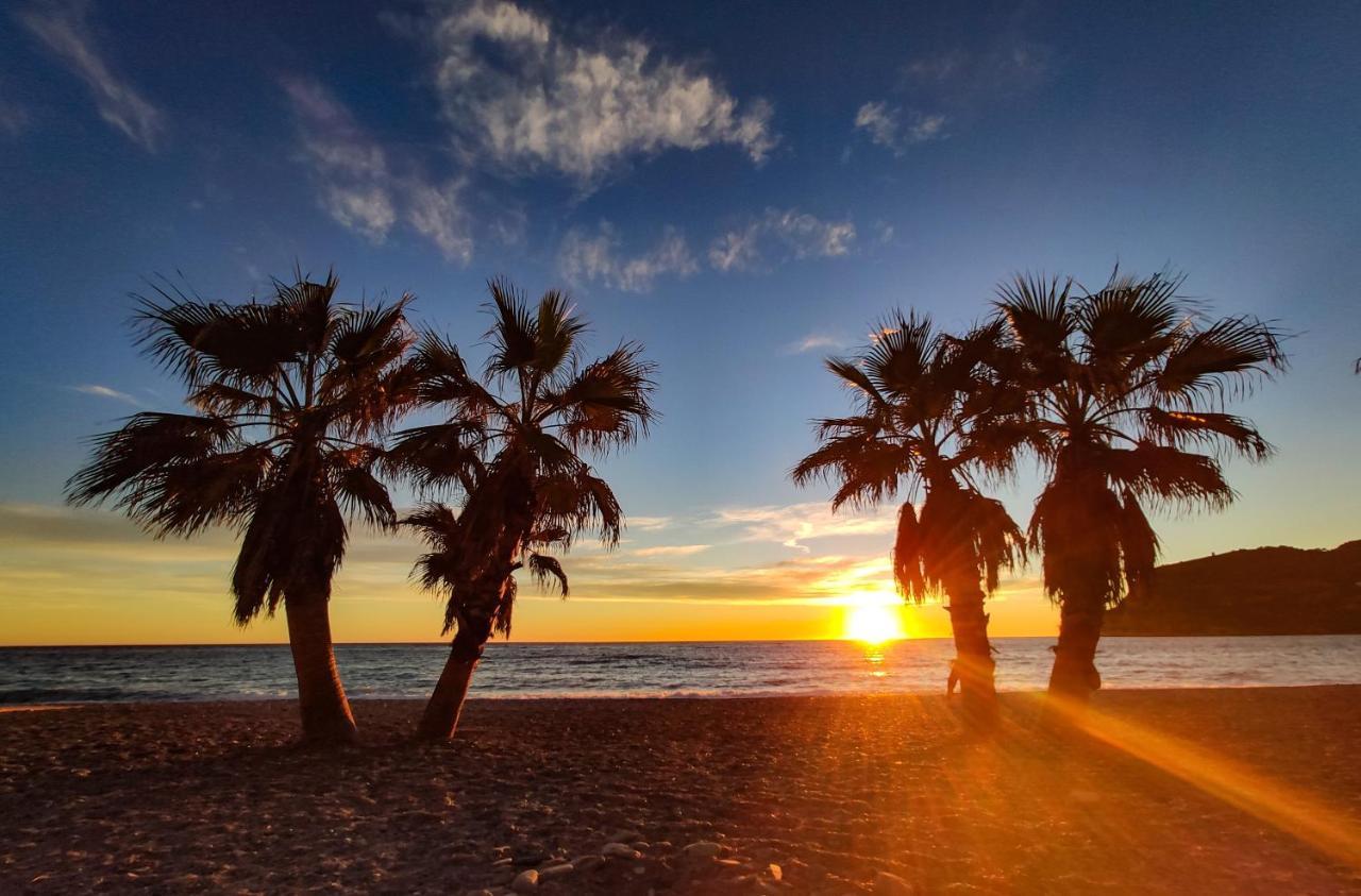 Tucan Playa لا هيرادورا المظهر الخارجي الصورة